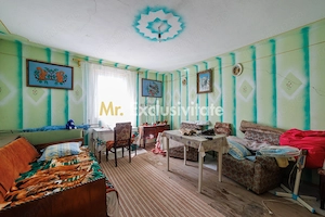 CASA SI GOSPODARIE DE VANZARE – SPINENI, OLT | 4.000 MP TEREN - imagine 9