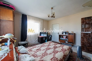 CASA SI GOSPODARIE DE VANZARE – SPINENI, OLT | 4.000 MP TEREN - imagine 6