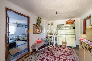 CASA SI GOSPODARIE DE VANZARE – SPINENI, OLT | 4.000 MP TEREN - imagine 10