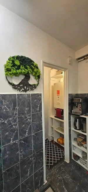 Proprietar, vând apartament 3 camere decomandat, zona centrală(Str. Emil Racovita.  Pentru relații r - imagine 8