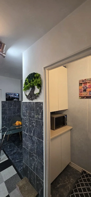 Proprietar, vând apartament 3 camere decomandat, zona centrală(Str. Emil Racovita.  Pentru relații r - imagine 9