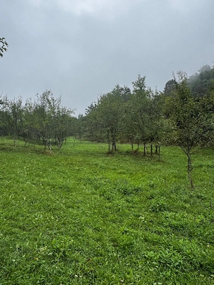 Teren calvini, buzau