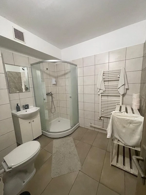 Casa 6 camere, 197 mp utili, P+1+M, teren 350 mp, zona Centrala - imagine 3