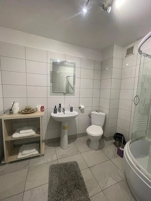 Casa 6 camere, 197 mp utili, P+1+M, teren 350 mp, zona Centrala - imagine 7