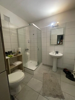 Casa 6 camere, 197 mp utili, P+1+M, teren 350 mp, zona Centrala - imagine 5