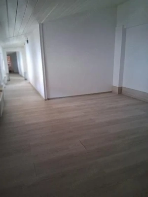 Metrou Tineretului-Metrou Timpuri Noi 9 camere-curte - imagine 5