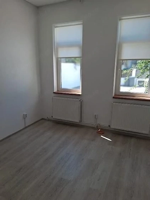 Metrou Tineretului-Metrou Timpuri Noi 9 camere-curte - imagine 4