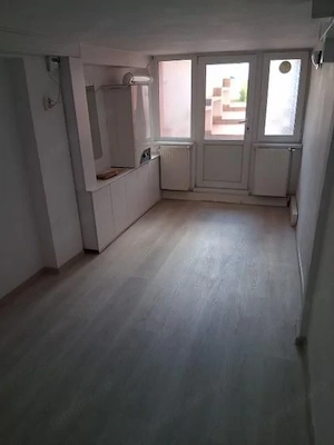 Metrou Tineretului-Metrou Timpuri Noi 9 camere-curte - imagine 6
