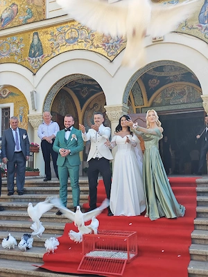 porumbei albi pentru nunti Timișoara  - imagine 5