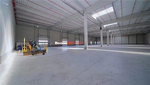 CLADIRE DE BIROURI SI HALA INDUSTRIALA - BORS, BIHOR - imagine 5