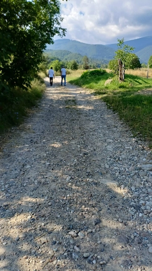  Refugiul tău în Retezat   Teren intravilan de 948 mp, perfect drept, la doar 12.000 !    - imagine 2
