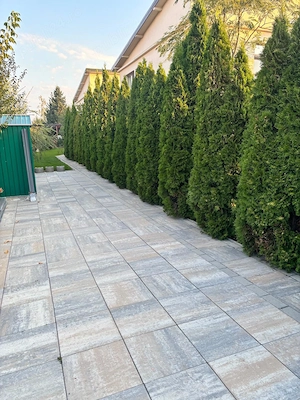Vila individuala (5cam) 170mp util 570mp  curte   - Corbeanca ( penny gym saloane DN) - imagine 4