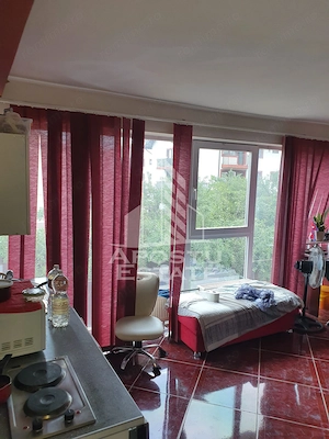 Apartament de vanzare cu 2 camere la casa, zona Mehala, Timisoara - imagine 10