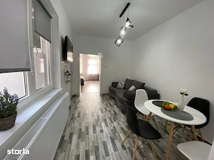 De vanzare apartament central, 2 camere tip Studio - imagine 6