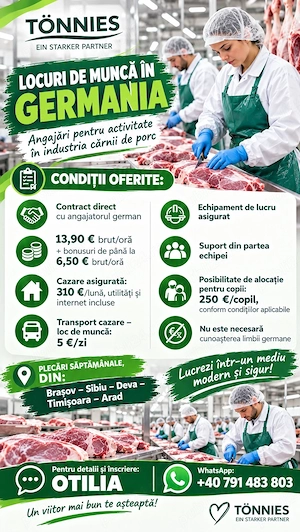 Locuri de munca - abator Germania 