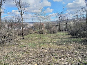 Teren intravilan în cartierul Bună ziua - imagine 2