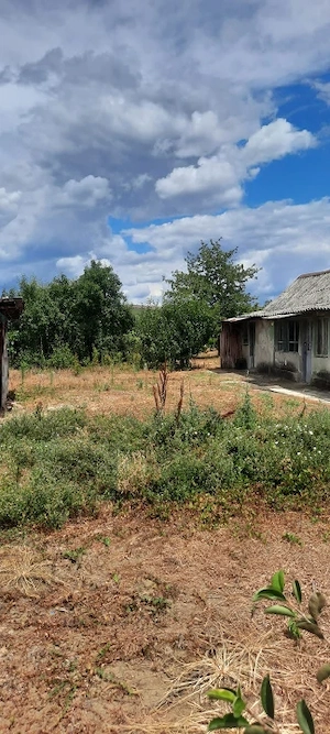 Casa de vazanre, 44.81 mp, teren 1.239 mp, zona Bradesti - imagine 5