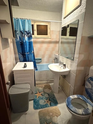 Apartament 2 camere, 50 mp, etaj intermediar, zona Astra - imagine 6