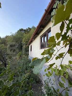 Casa de vanzare, 295 mp, teren 3.596 mp, zoan Hondol - imagine 2