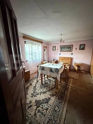 Casa de vanzare, 295 mp, teren 3.596 mp, zoan Hondol - imagine 8