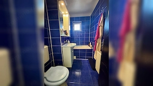 Apartament Confort 1 Decomandat Malu Rosu - imagine 5