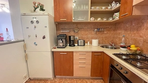 Casa individuala P+M,spatioasa in zona Mircea Cel Batran - imagine 10