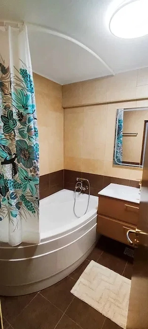 Apartament 1 camera, zona Platinia Shopping Center - imagine 7