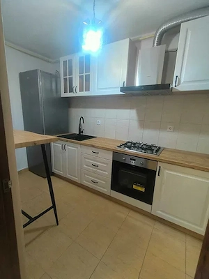 Apartament 1 camera, zona Platinia Shopping Center - imagine 3