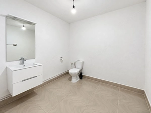 Spatiu comercial de inchiriat Uta - imagine 4