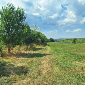 TEREN de inchiriat 
