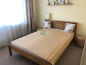 Apartament cu 3 camere de inchiriat, mobilat si utilat, in Tudor - imagine 3