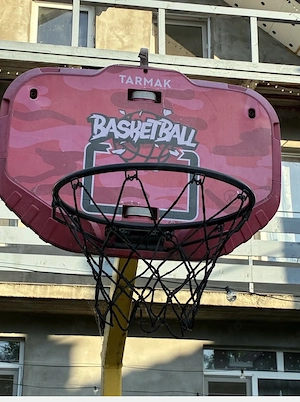 panou baschet