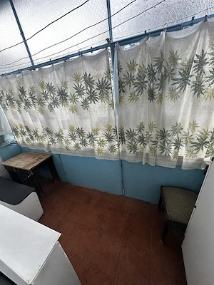 Apartament cu 3 camere de vanzare, etajul 2, 59 mp, Dealul Florilor - imagine 5