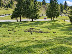 1100mp cu vedere spre Piatra Craiului, Plaiul Foii, Zarnesti - imagine 4