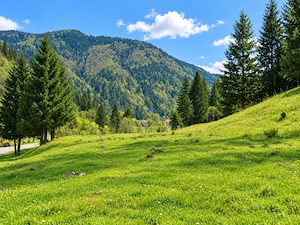 1100mp cu vedere spre Piatra Craiului, Plaiul Foii, Zarnesti