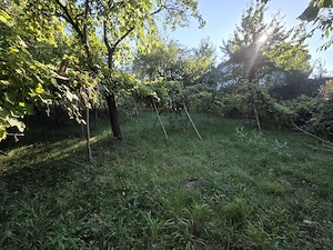 Proprietate deosebita de vanzare - imagine 3