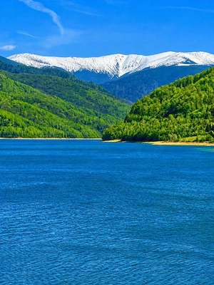 Poiana Marului, langa padure - teren pentru casa de vacanta | Com 0%