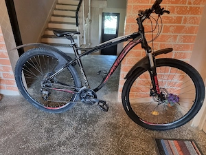 Romet rambler fit 29"