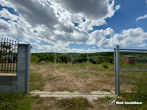 Teren Intravilan 1.137 mp | Săvădisla | Utilități | Panoramă Pădure