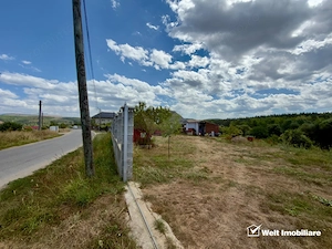 Teren Intravilan 1.137 mp | Săvădisla | Utilități | Panoramă Pădure - imagine 3