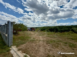 Teren Intravilan 1.137 mp | Săvădisla | Utilități | Panoramă Pădure - imagine 2