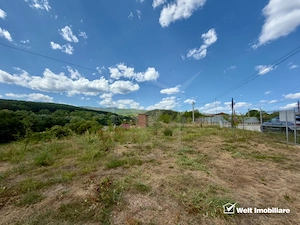 Teren Intravilan 1.137 mp | Săvădisla | Utilități | Panoramă Pădure - imagine 8