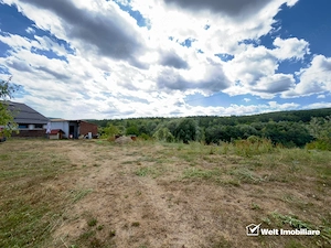 Teren Intravilan 1.137 mp | Săvădisla | Utilități | Panoramă Pădure - imagine 10