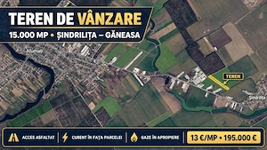 Teren 15.000 mp Șindrilița Găneasa, aproape de DN2, zonă cu dezvoltare industrială, acces asfaltat 