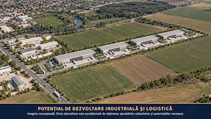 Teren 15.000 mp Șindrilița Găneasa, aproape de DN2, zonă cu dezvoltare industrială, acces asfaltat  - imagine 3