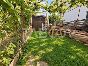 Casa de vanzare in Ocna Sibiului – liniste natura si gradina - imagine 15