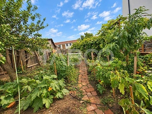 Casa de vanzare in Ocna Sibiului – liniste natura si gradina - imagine 13