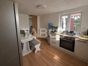 Casa de vanzare in Ocna Sibiului – liniste natura si gradina - imagine 9