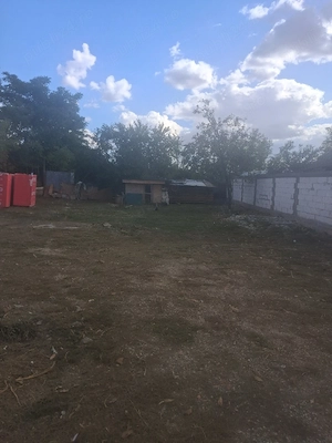 Casă renovată + 1500 mp teren în Orbeasca de Sus, poziție excelentă la 400 m de Penny Târg, gard BCA - imagine 5