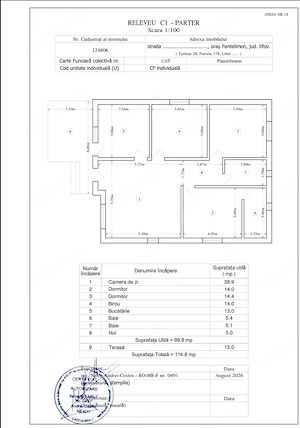 Pantelimon, Drumul Garii, vila P+M, 4 camere, teren 346 mp - imagine 13